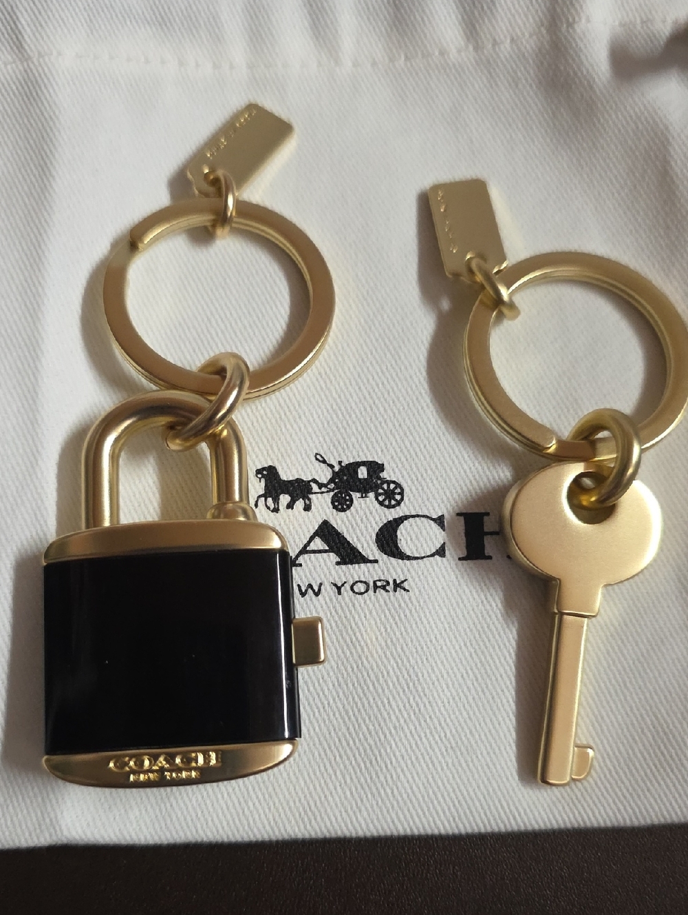 Coach 2 Pc. Padlock & Key Keyrings New W/ Dusty - Picture 7 of 9